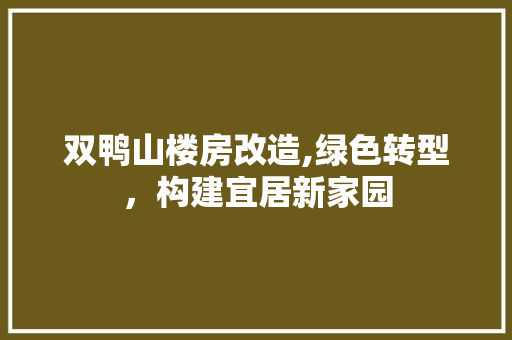 双鸭山楼房改造,绿色转型，构建宜居新家园