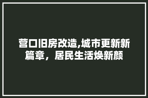 营口旧房改造,城市更新新篇章，居民生活焕新颜