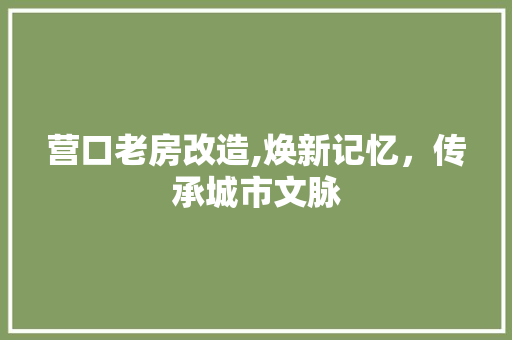 营口老房改造,焕新记忆，传承城市文脉