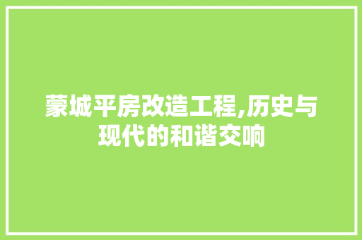 蒙城平房改造工程,历史与现代的和谐交响