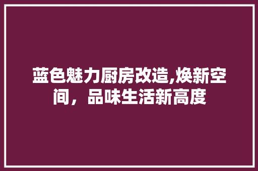 蓝色魅力厨房改造,焕新空间，品味生活新高度
