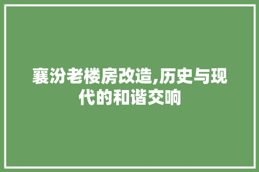 襄汾老楼房改造,历史与现代的和谐交响
