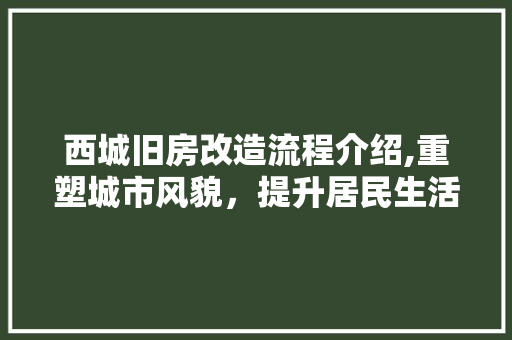 西城旧房改造流程介绍,重塑城市风貌，提升居民生活品质