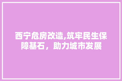 西宁危房改造,筑牢民生保障基石，助力城市发展