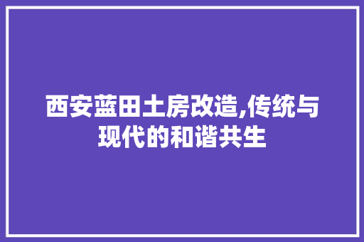 西安蓝田土房改造,传统与现代的和谐共生