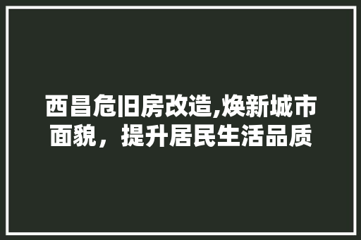 西昌危旧房改造,焕新城市面貌，提升居民生活品质