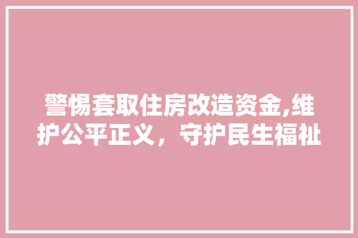 警惕套取住房改造资金,维护公平正义，守护民生福祉