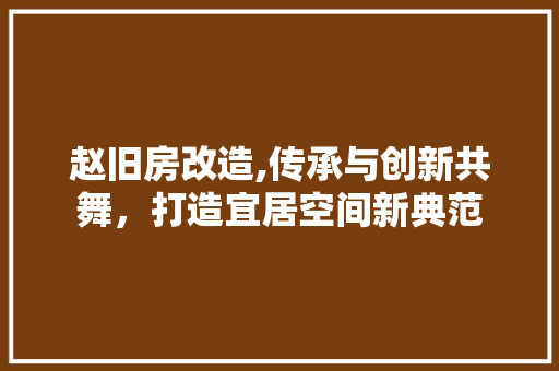 赵旧房改造,传承与创新共舞，打造宜居空间新典范