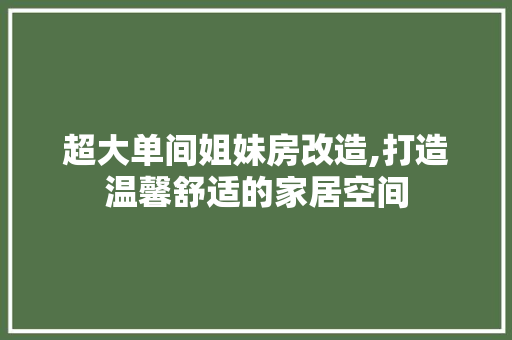 超大单间姐妹房改造,打造温馨舒适的家居空间