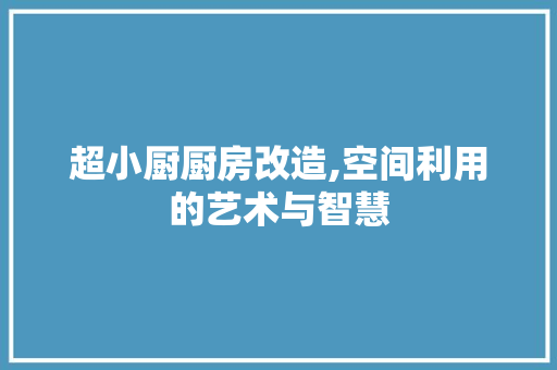 超小厨厨房改造,空间利用的艺术与智慧