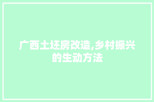 广西土坯房改造,乡村振兴的生动方法