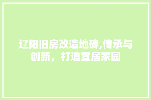 辽阳旧房改造地砖,传承与创新，打造宜居家园