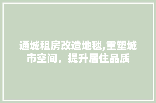 通城租房改造地毯,重塑城市空间，提升居住品质
