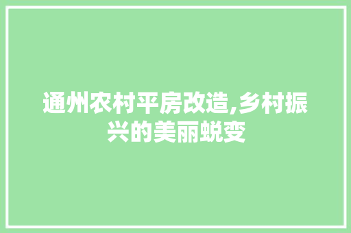 通州农村平房改造,乡村振兴的美丽蜕变