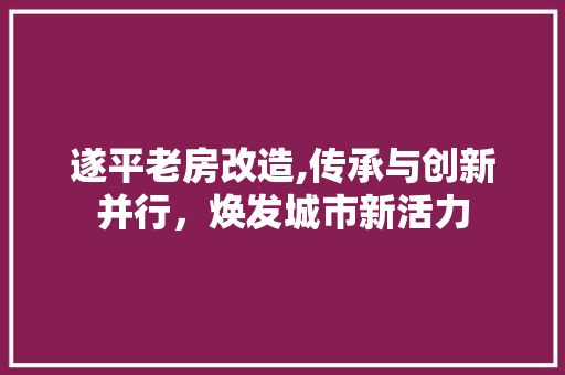 遂平老房改造,传承与创新并行，焕发城市新活力