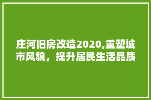 庄河旧房改造2020,重塑城市风貌，提升居民生活品质