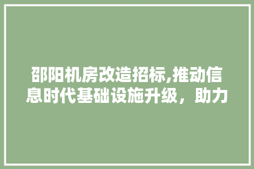 邵阳机房改造招标,推动信息时代基础设施升级，助力区域发展新篇章