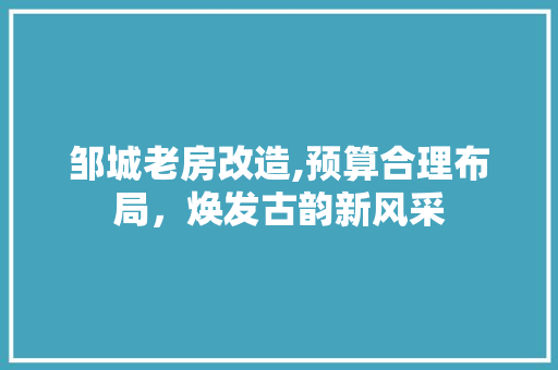 邹城老房改造,预算合理布局，焕发古韵新风采