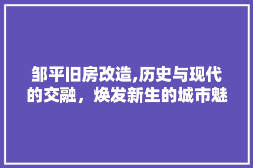 邹平旧房改造,历史与现代的交融，焕发新生的城市魅力