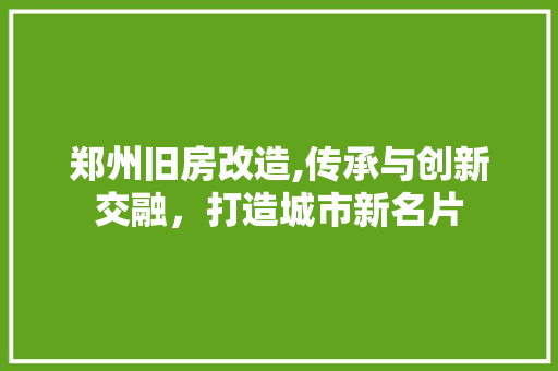 郑州旧房改造,传承与创新交融，打造城市新名片