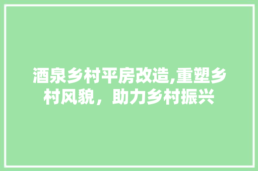 酒泉乡村平房改造,重塑乡村风貌，助力乡村振兴