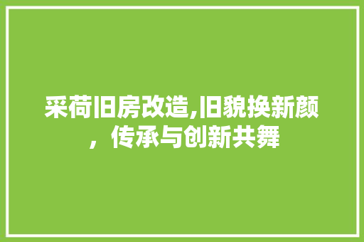 采荷旧房改造,旧貌换新颜，传承与创新共舞