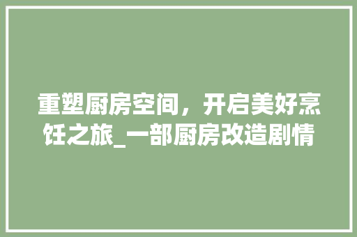 重塑厨房空间，开启美好烹饪之旅_一部厨房改造剧情详细介绍