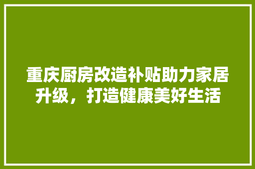 重庆厨房改造补贴助力家居升级，打造健康美好生活