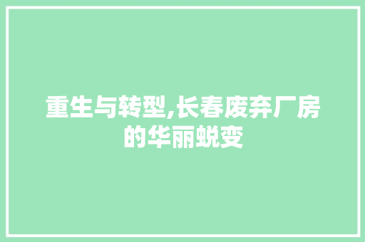 重生与转型,长春废弃厂房的华丽蜕变