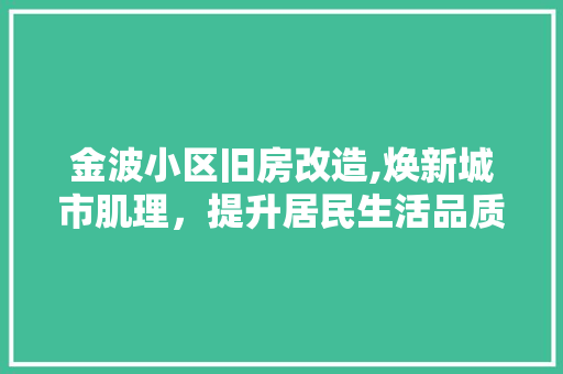 金波小区旧房改造,焕新城市肌理，提升居民生活品质