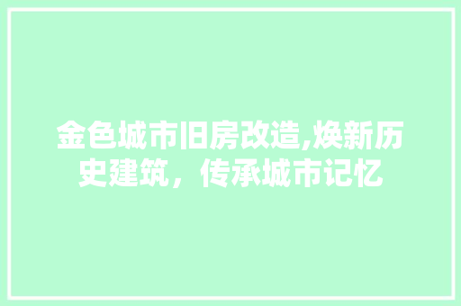 金色城市旧房改造,焕新历史建筑，传承城市记忆