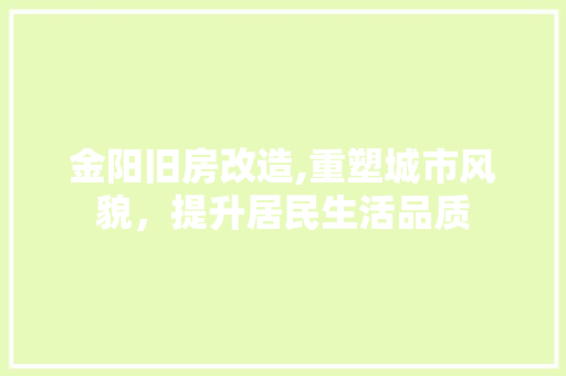 金阳旧房改造,重塑城市风貌，提升居民生活品质