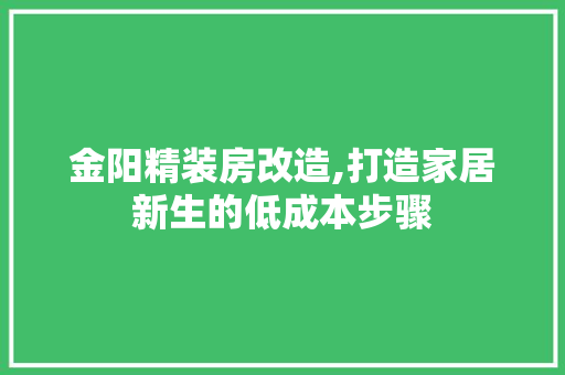金阳精装房改造,打造家居新生的低成本步骤