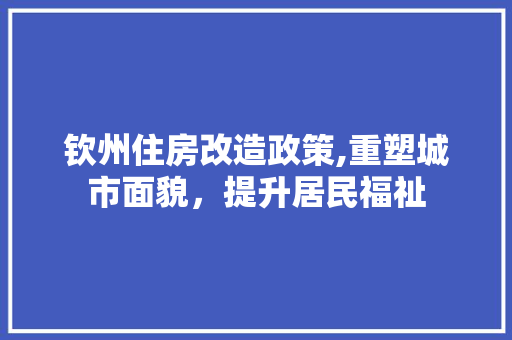 钦州住房改造政策,重塑城市面貌，提升居民福祉