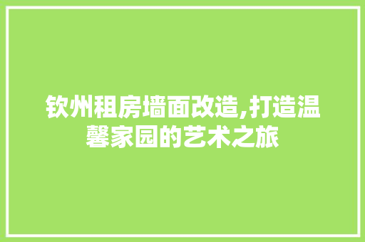 钦州租房墙面改造,打造温馨家园的艺术之旅