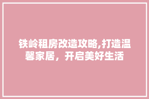 铁岭租房改造攻略,打造温馨家居，开启美好生活