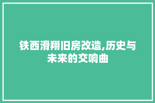 铁西滑翔旧房改造,历史与未来的交响曲