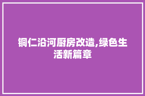 铜仁沿河厨房改造,绿色生活新篇章