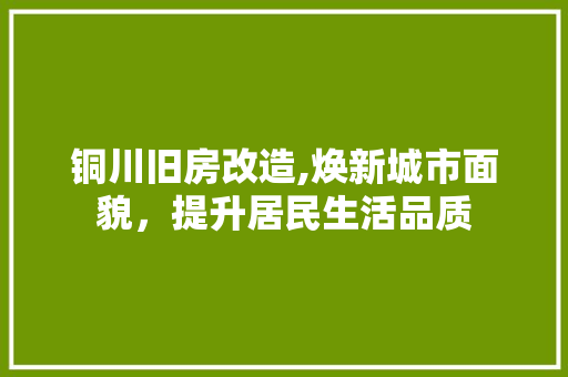 铜川旧房改造,焕新城市面貌，提升居民生活品质