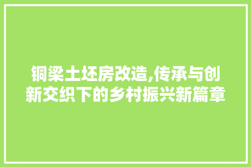 铜梁土坯房改造,传承与创新交织下的乡村振兴新篇章