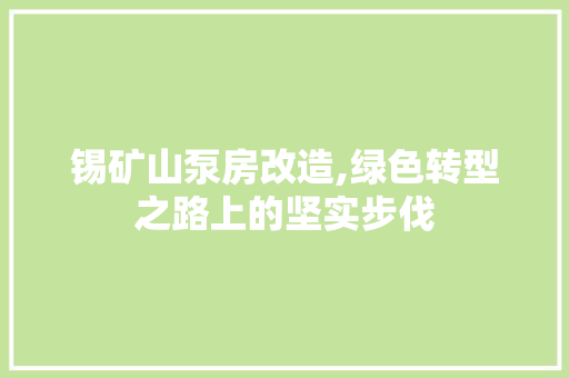 锡矿山泵房改造,绿色转型之路上的坚实步伐