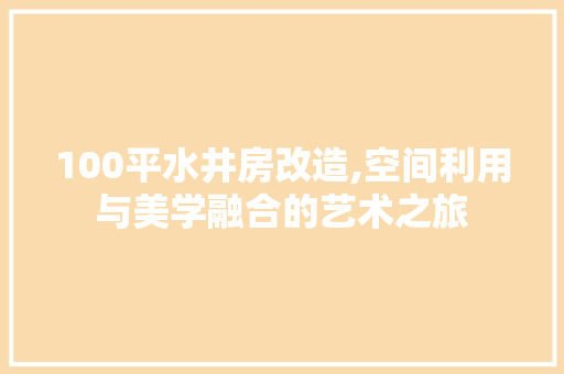 100平水井房改造,空间利用与美学融合的艺术之旅