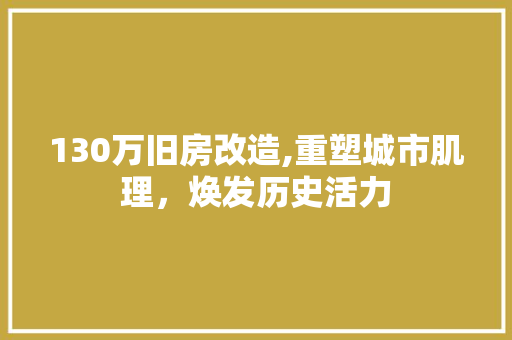 130万旧房改造,重塑城市肌理，焕发历史活力
