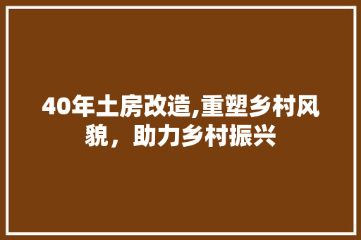 40年土房改造,重塑乡村风貌，助力乡村振兴