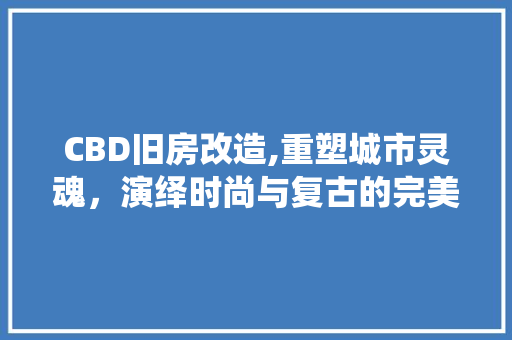 CBD旧房改造,重塑城市灵魂，演绎时尚与复古的完美交融