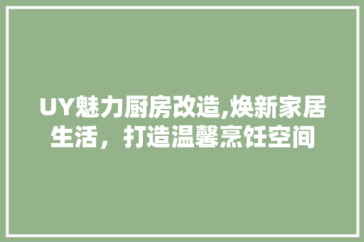 UY魅力厨房改造,焕新家居生活，打造温馨烹饪空间