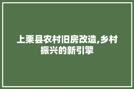 上栗县农村旧房改造,乡村振兴的新引擎