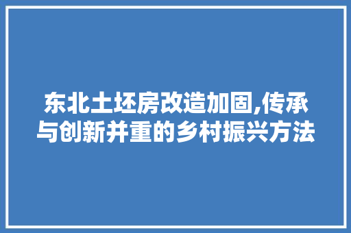 东北土坯房改造加固,传承与创新并重的乡村振兴方法