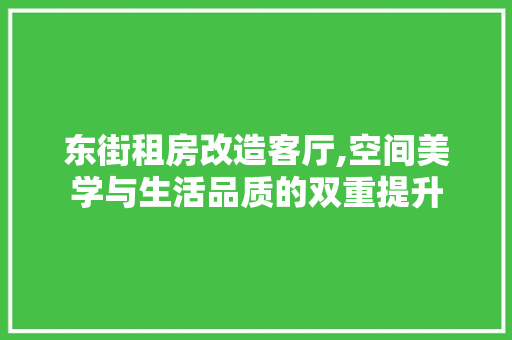 东街租房改造客厅,空间美学与生活品质的双重提升