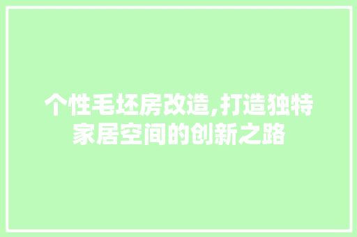 个性毛坯房改造,打造独特家居空间的创新之路